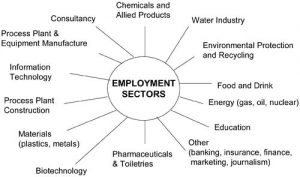 Chemical Engineer