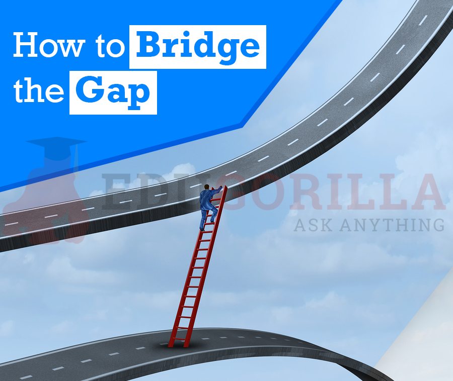How to Bridge the Gap