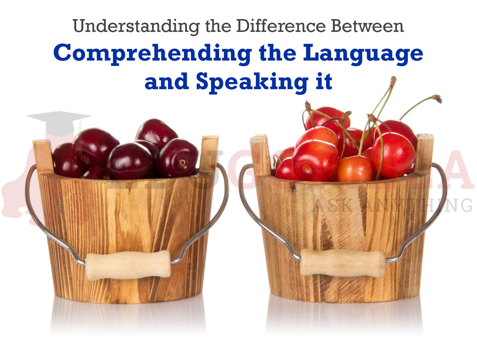 understanding the Difference Between Comprehending the Language and Speaking it
