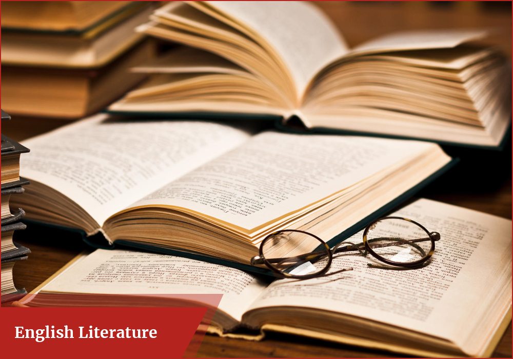 what is literature definition in english