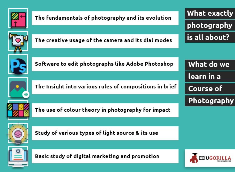 what do you learn in a college providing photography courses