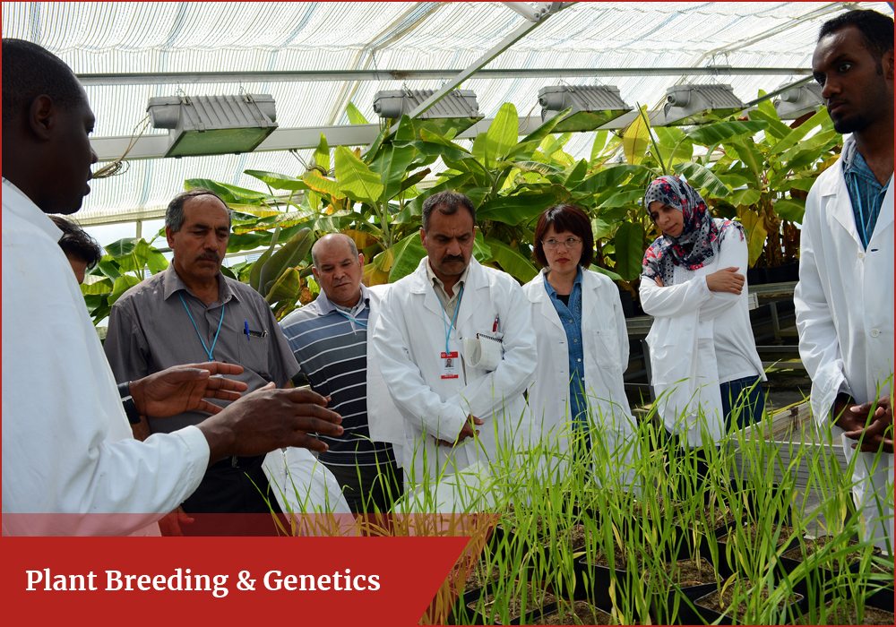Plant Breeding & Genetics - scope, careers, colleges, skills, jobs, salary