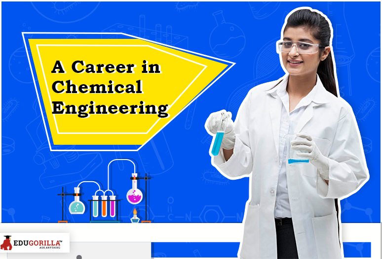 A career in chemical engineering
