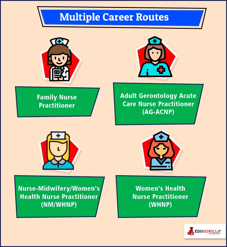 Multiple Career Routes
