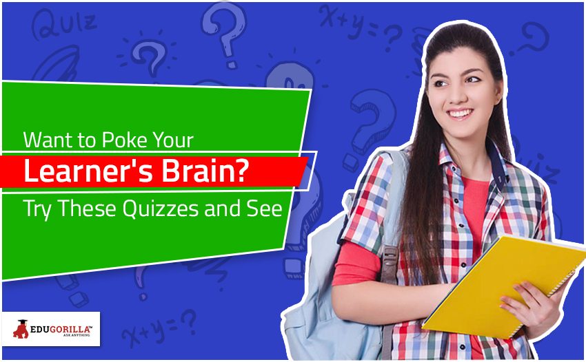 Want to Poke Your Learner's Brain Try These Quizzes and See