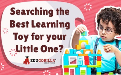 Searching the Best Learning Toy for your Little One?
