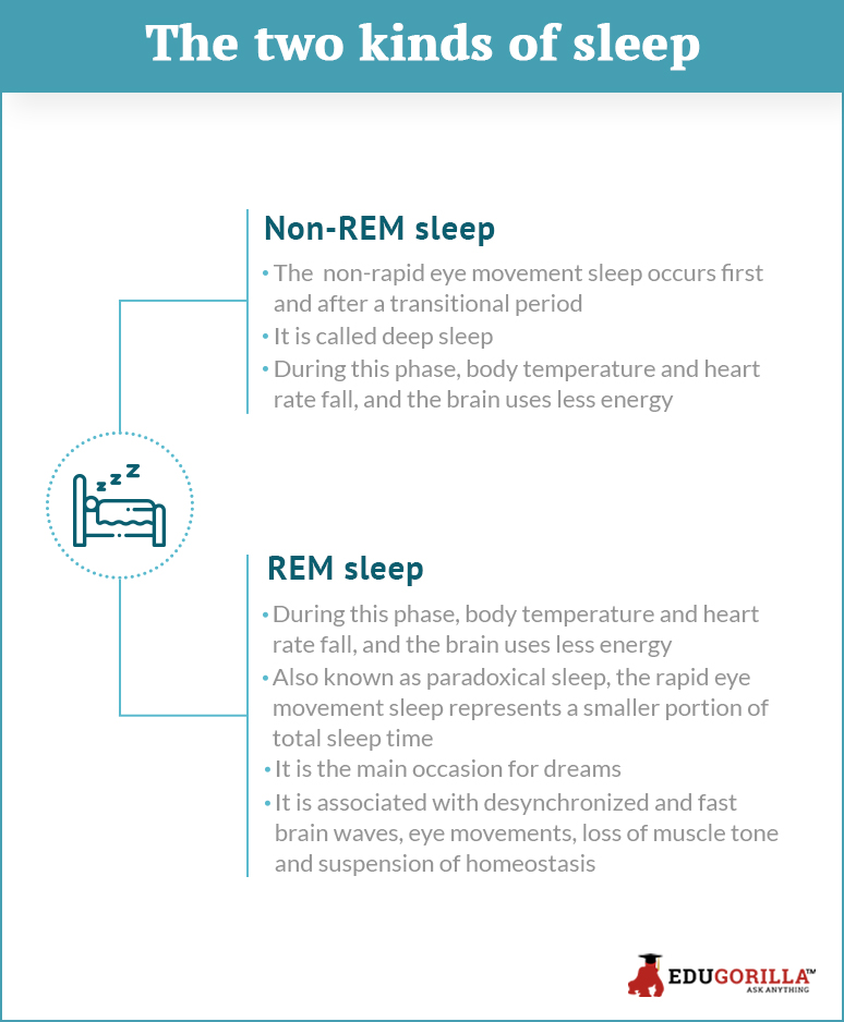 The two kinds of sleep