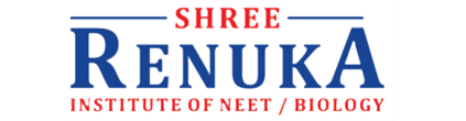 Shree Renuka Institute